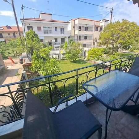 Palm Memories * Ιερισσός