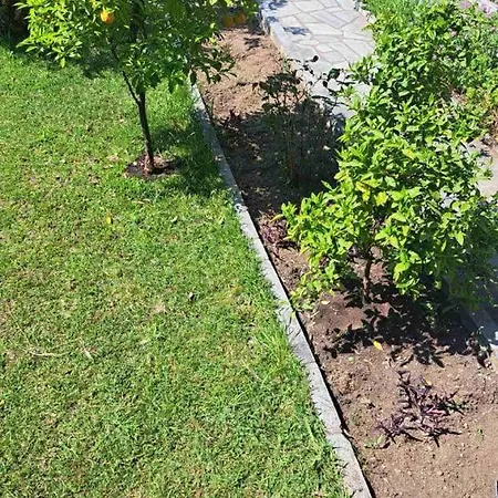 Σπίτι διακοπών Palm Memories Ιερισσός