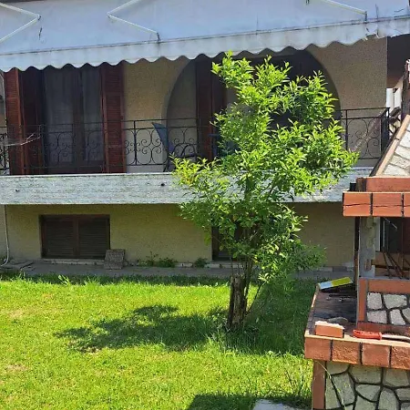 Palm Memories * Ierissós